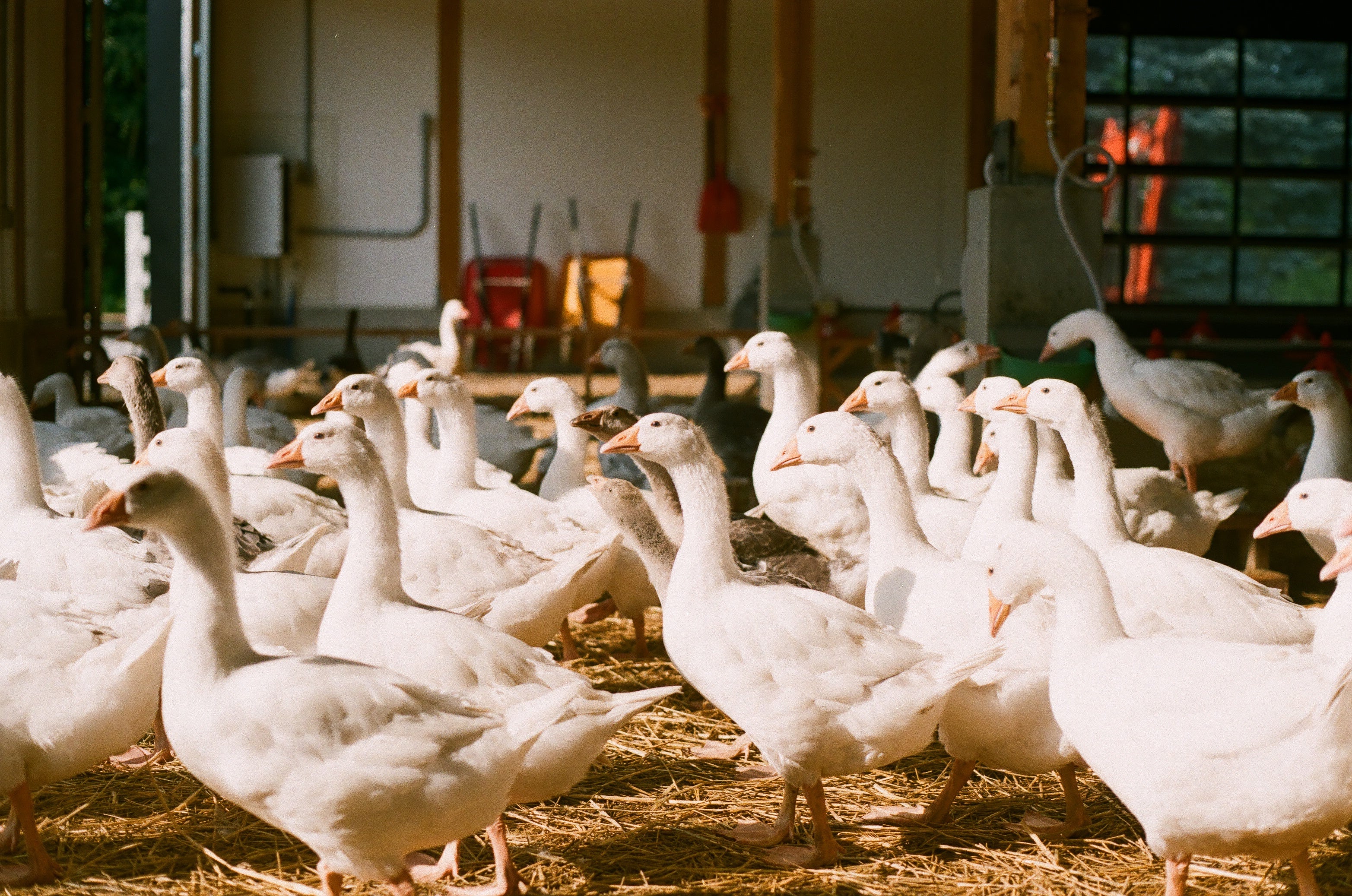 Escapade gourmande en Montérégie