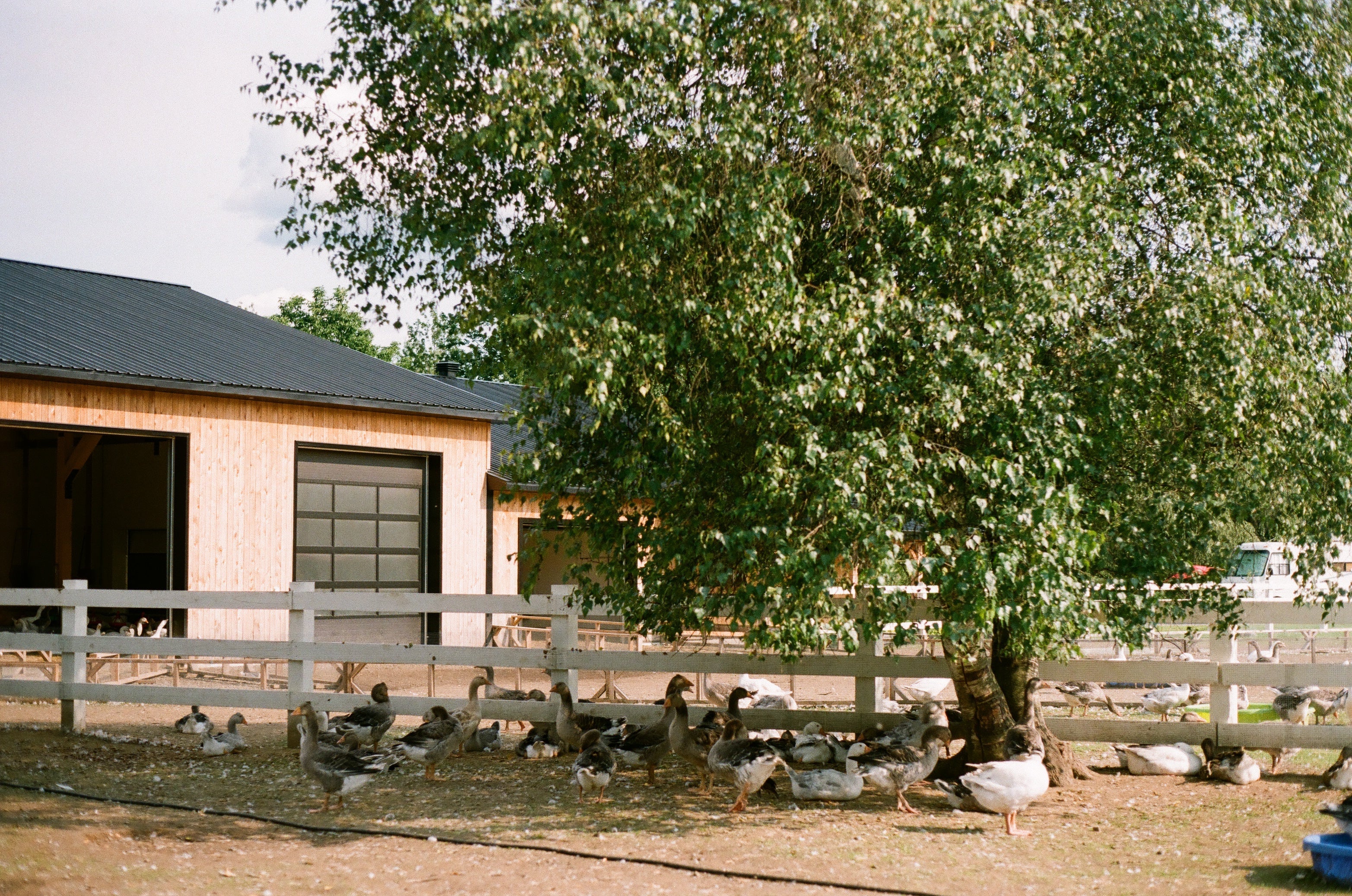 Escapade gourmande en Montérégie
