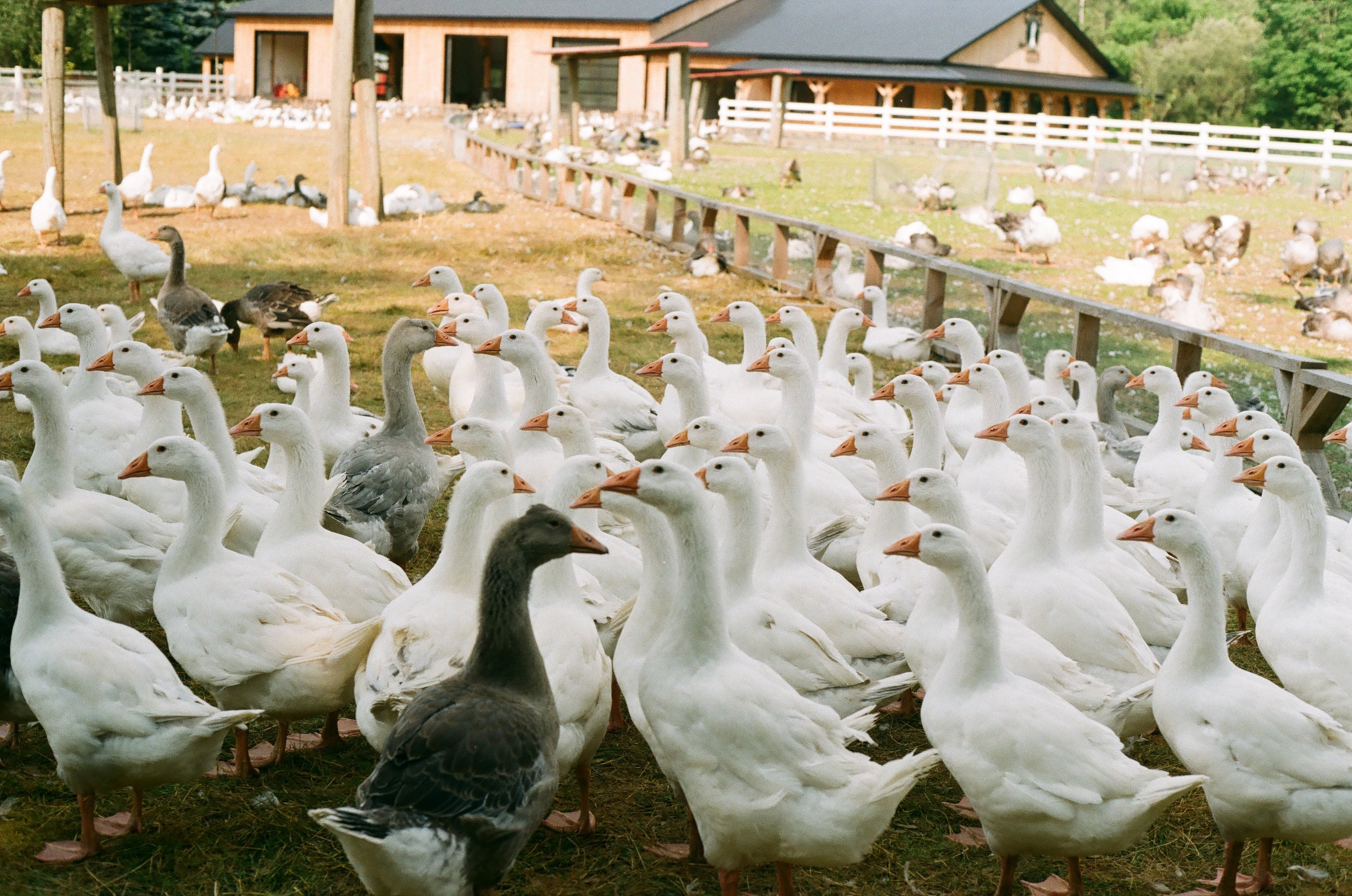 Escapade gourmande en Montérégie