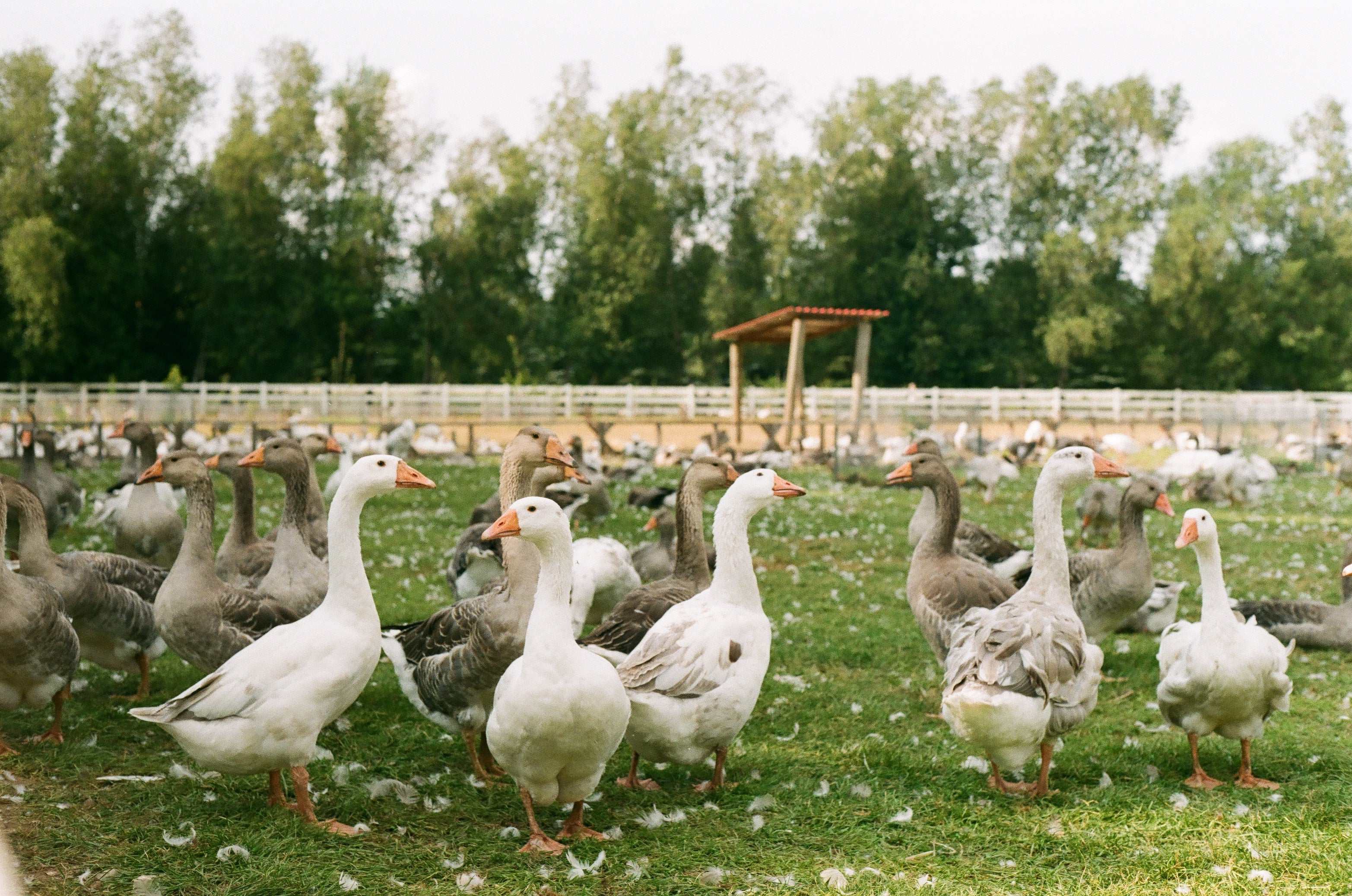 Escapade gourmande en Montérégie