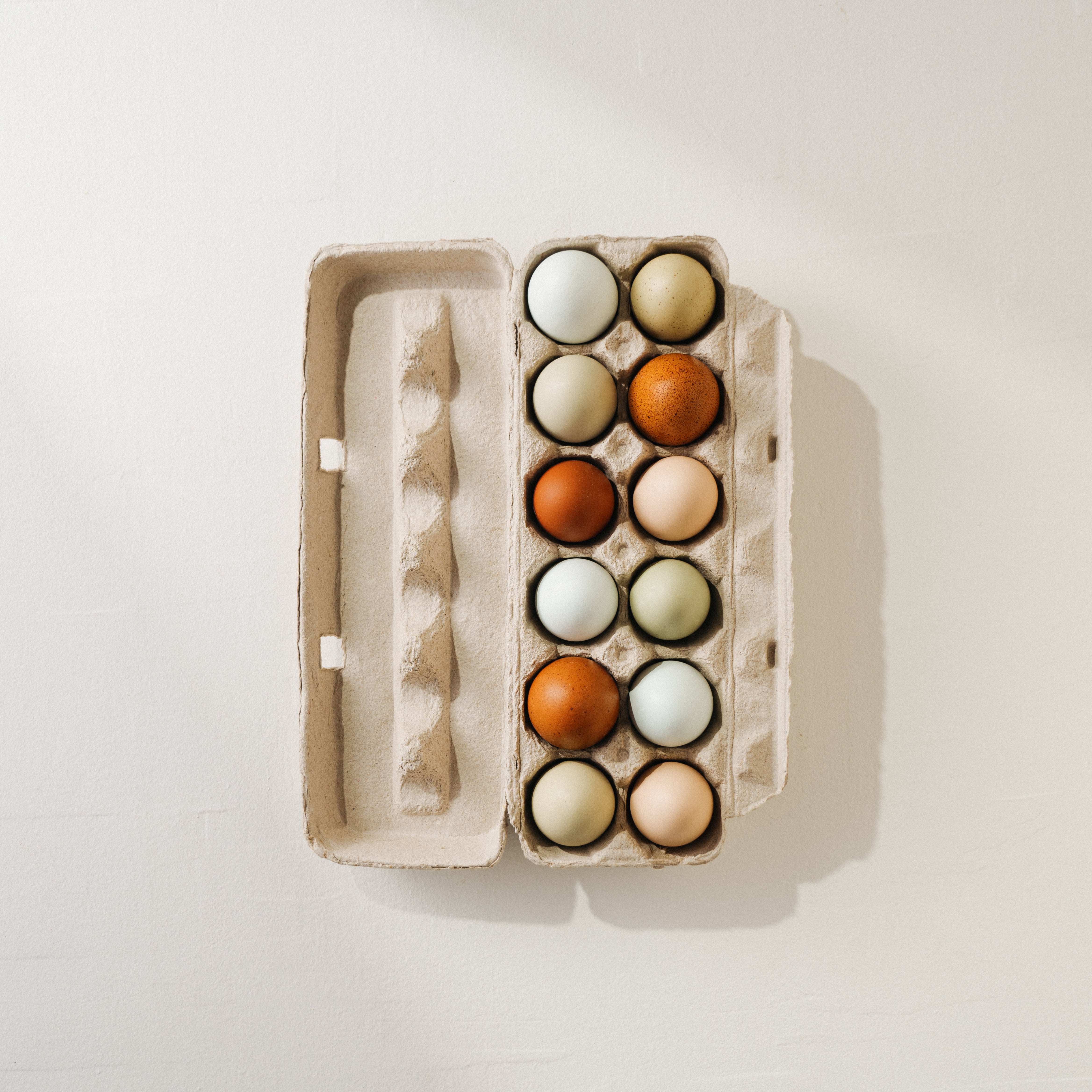 Oeufs de poules (12)