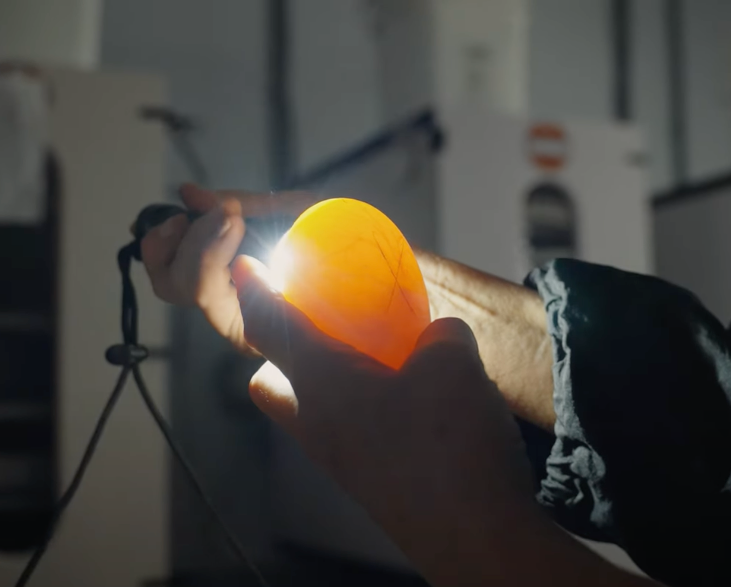 Oeuf d'oie fécond