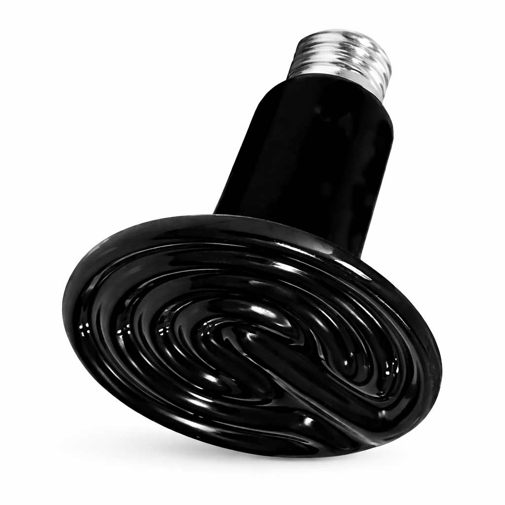 Ampoule pour lampe chauffante