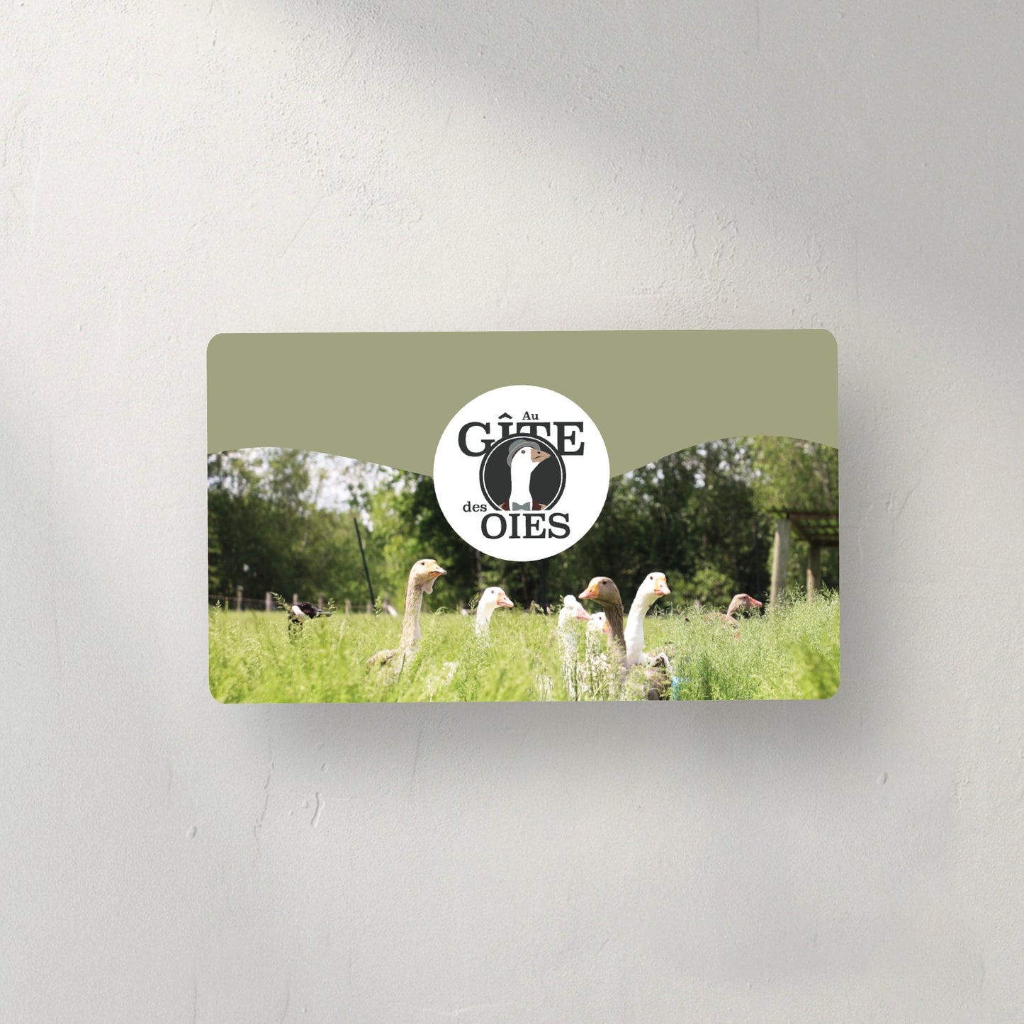 Carte Cadeau